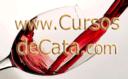 www.cursosdecata.com